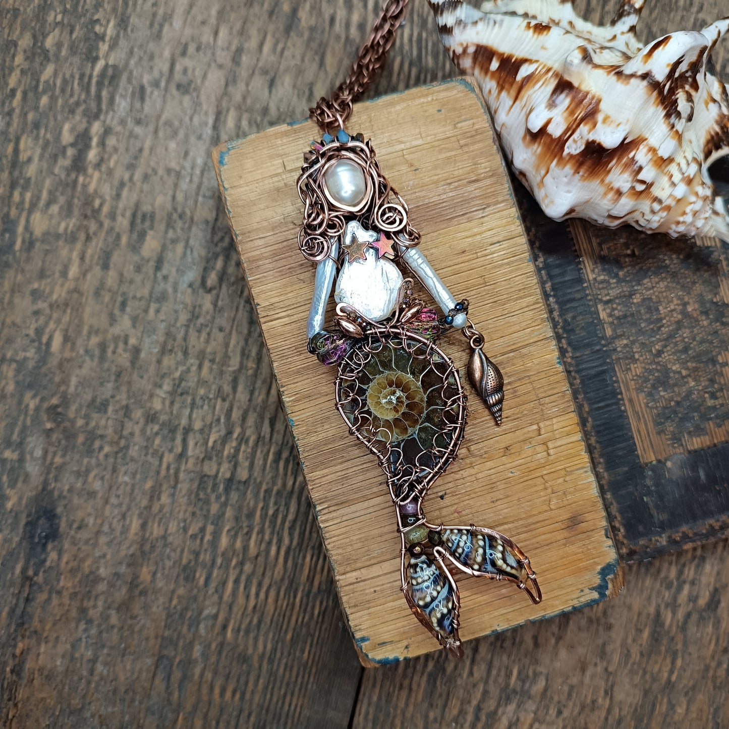 Ammonite shell mermaid.🧜🤎
