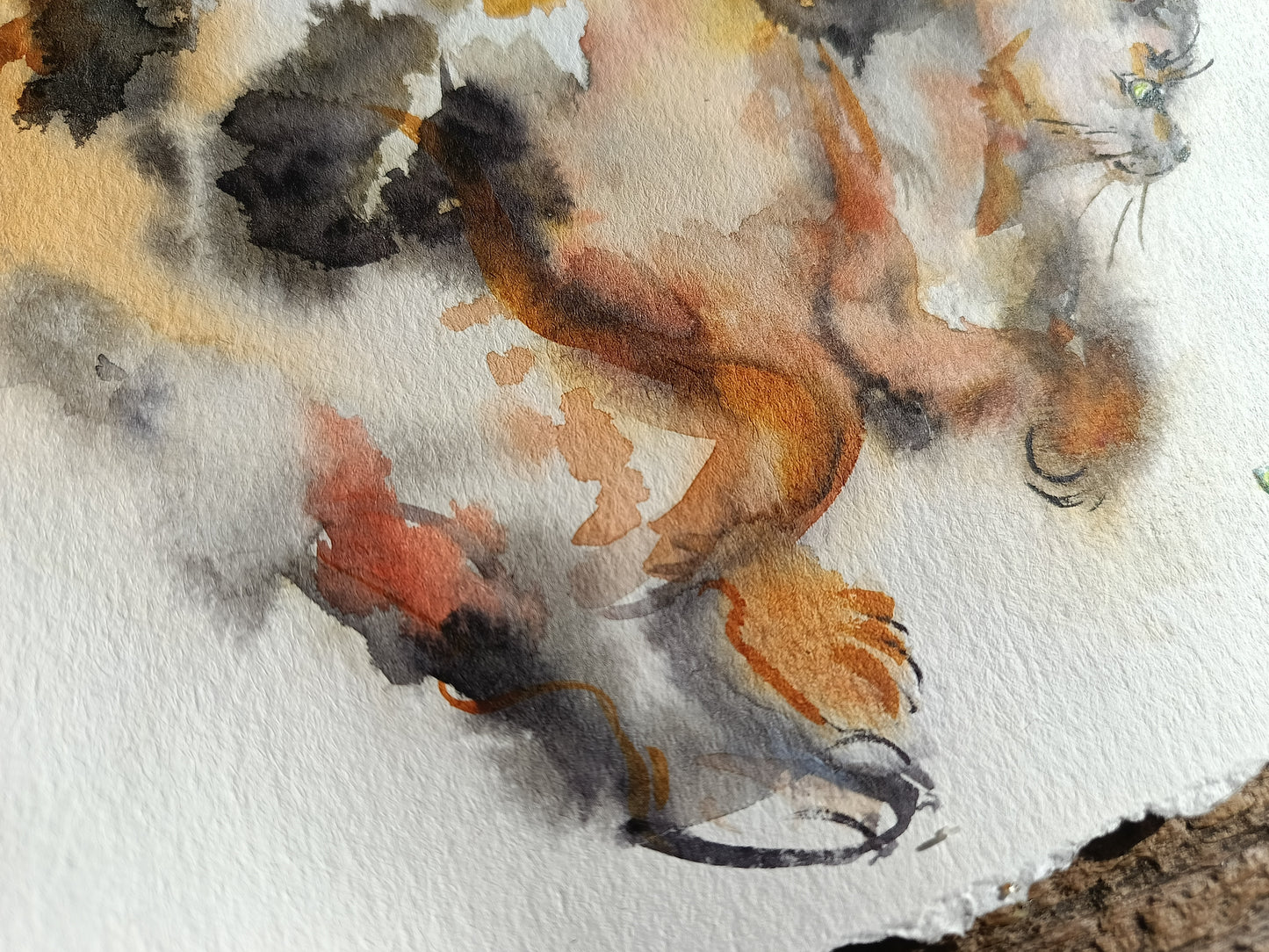 Hop hop! Fluffy cat and grasshopper. Original watercolour