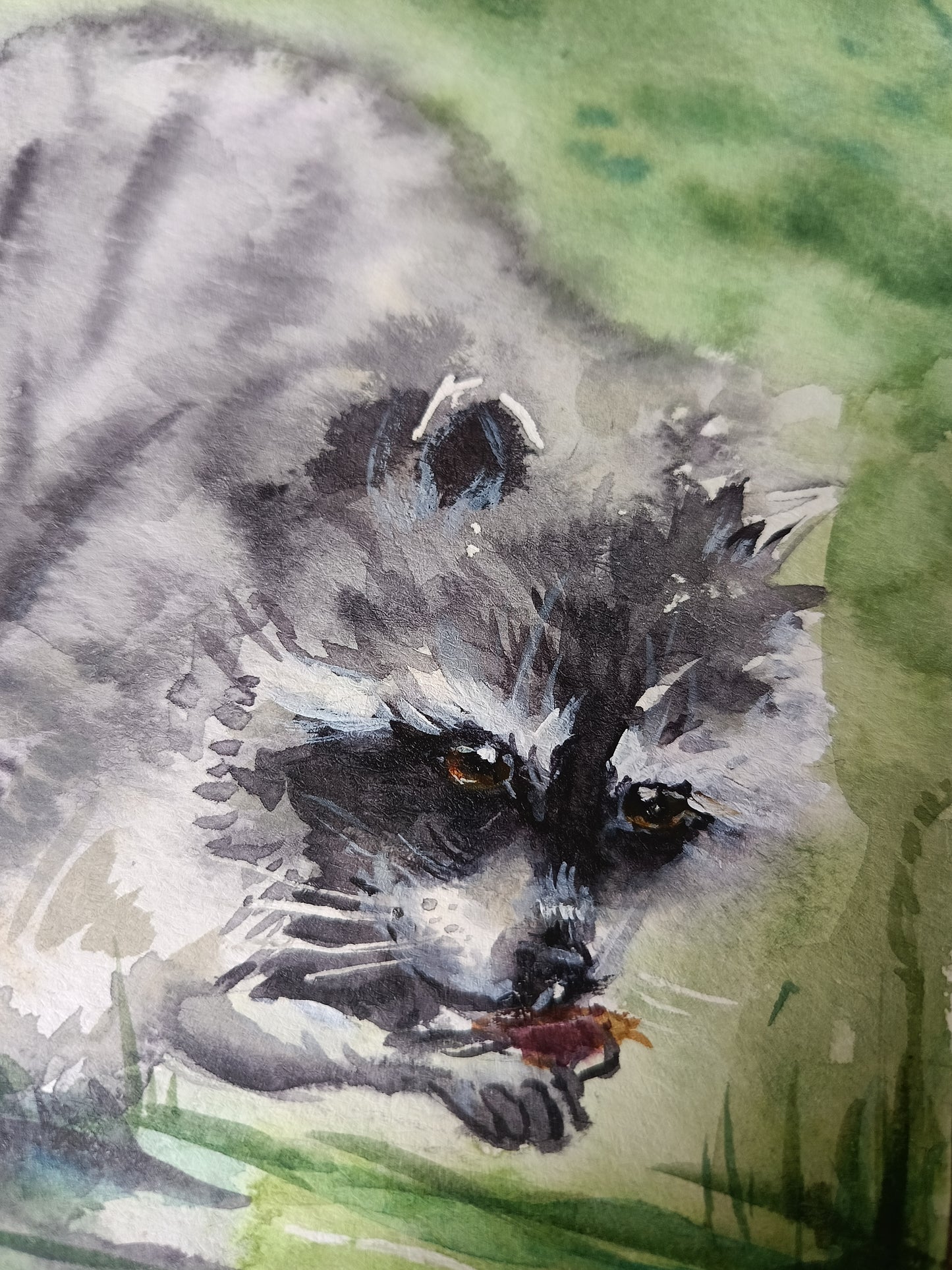 Raccoon gourmet. Original watercolour painting.