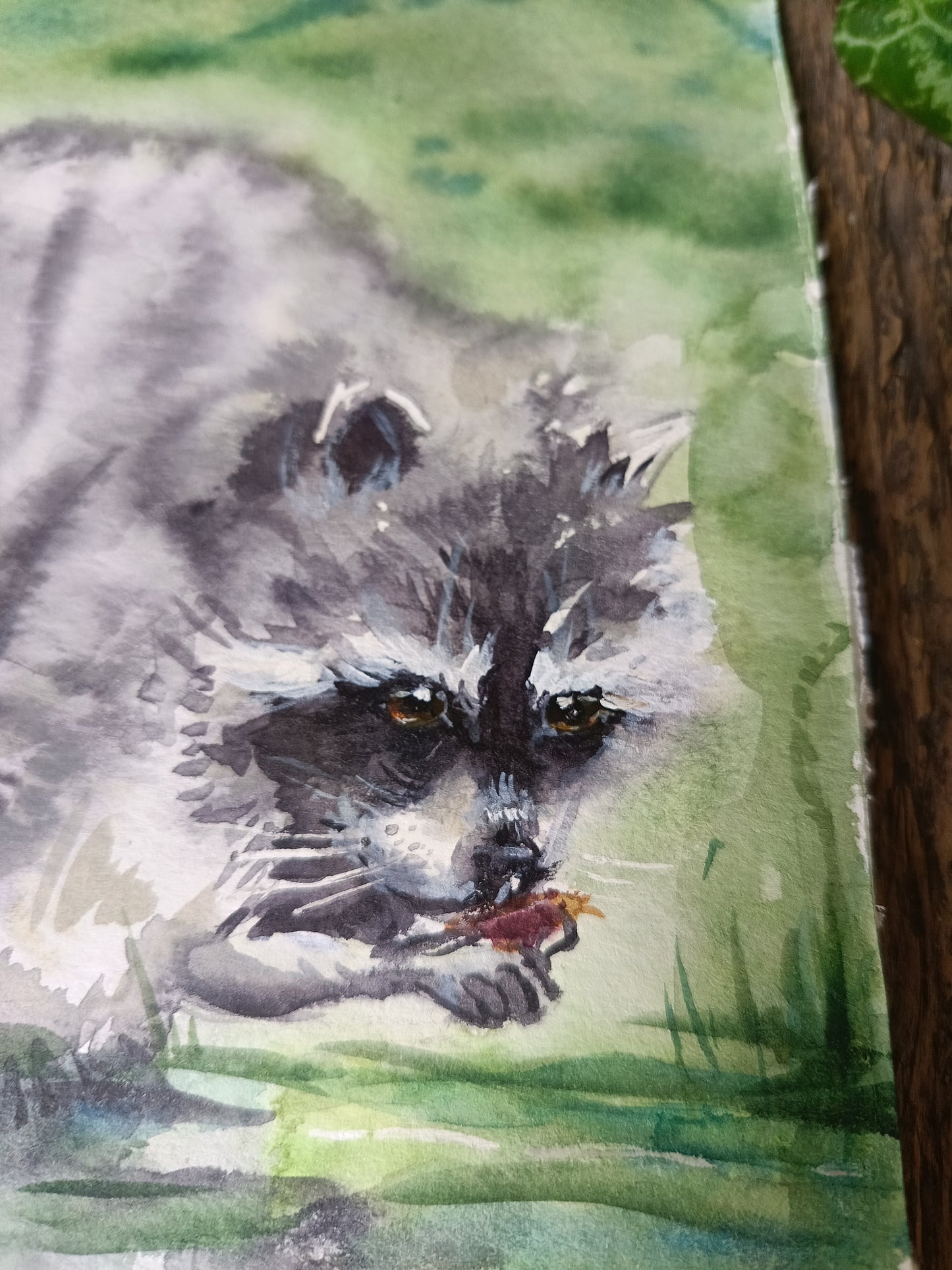 Raccoon gourmet. Original watercolour painting.