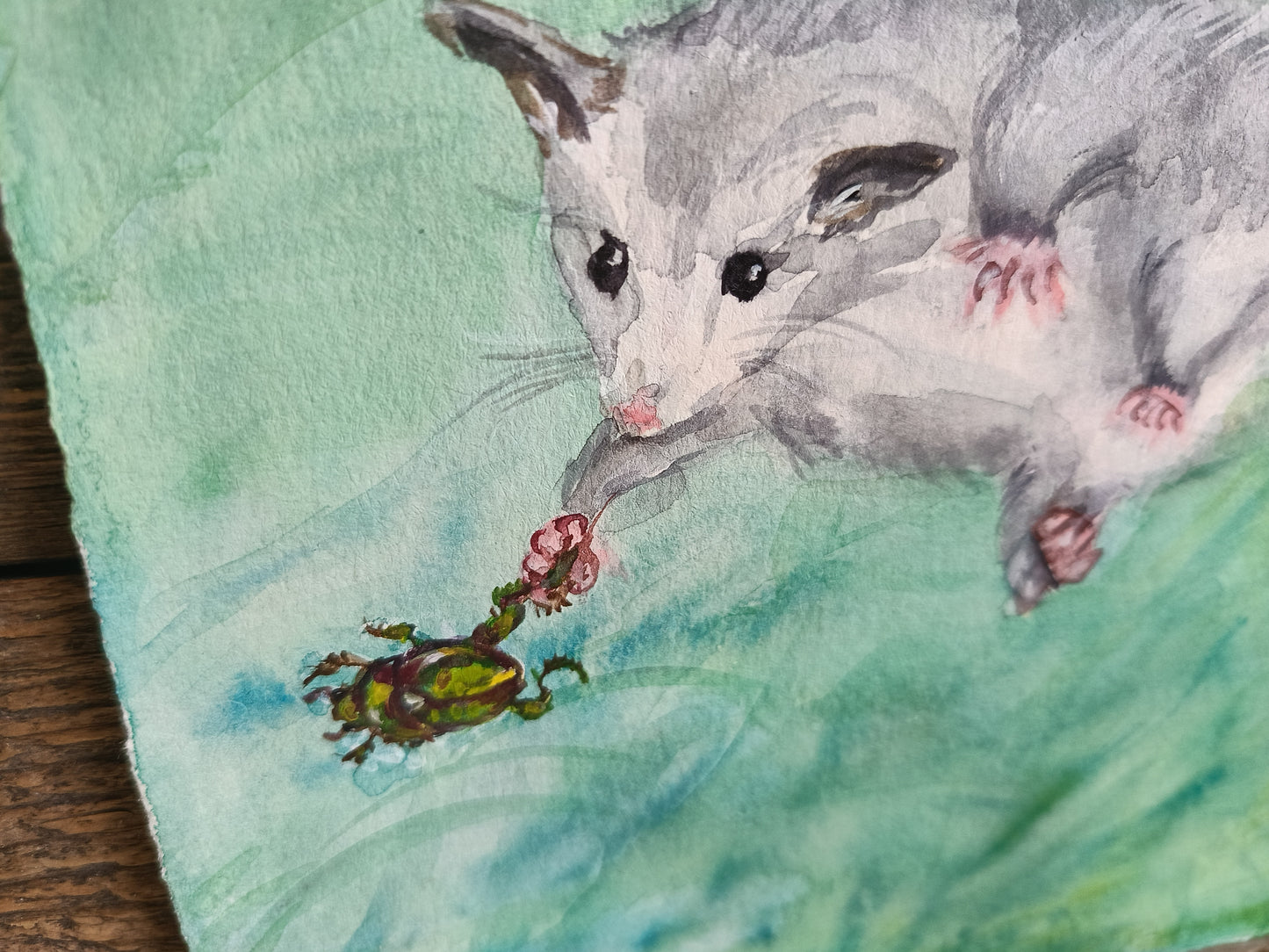 Possums! Original watercolour.