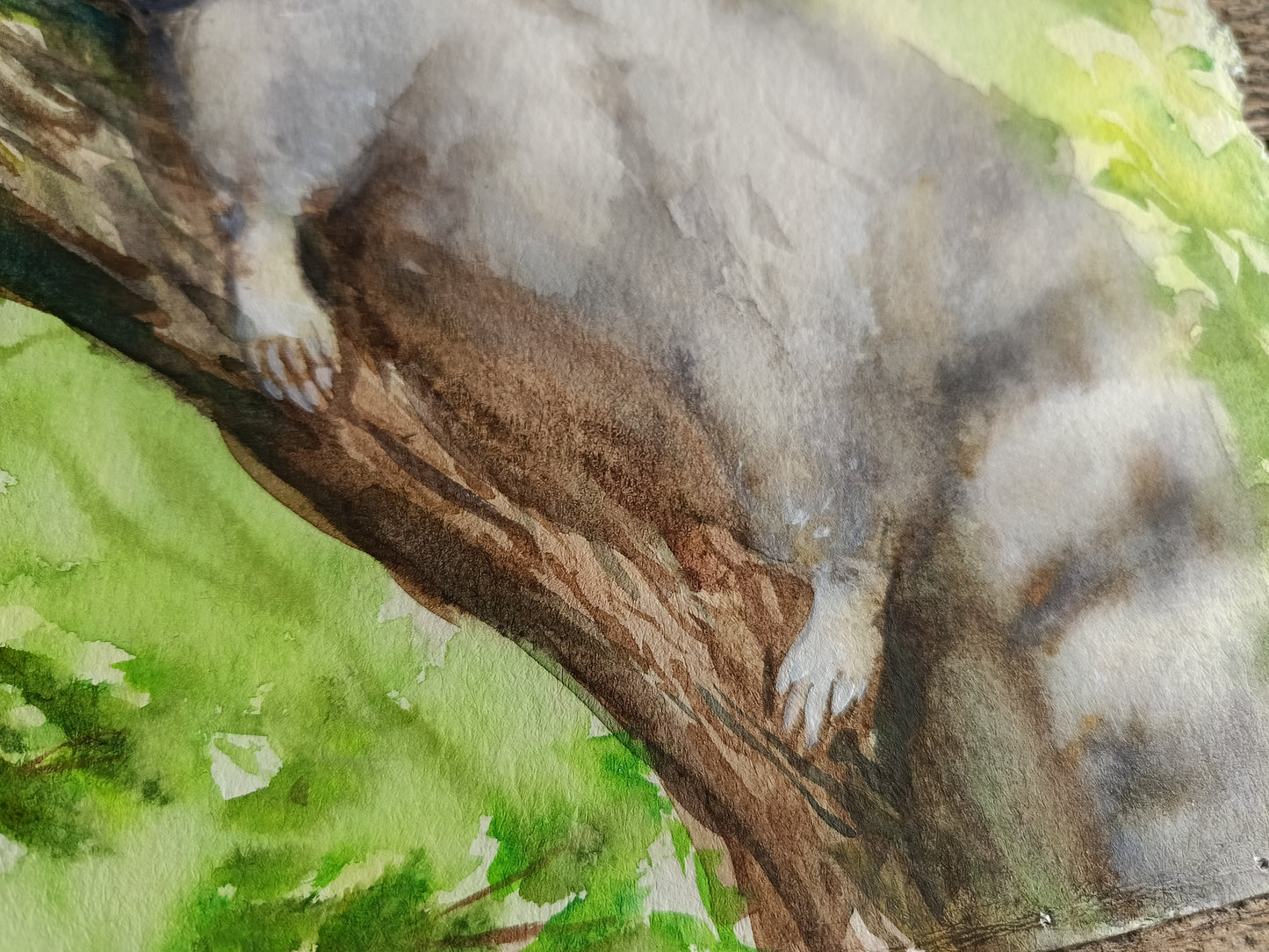 Sleepyhead. Fluffy raccoon original watercolour.
