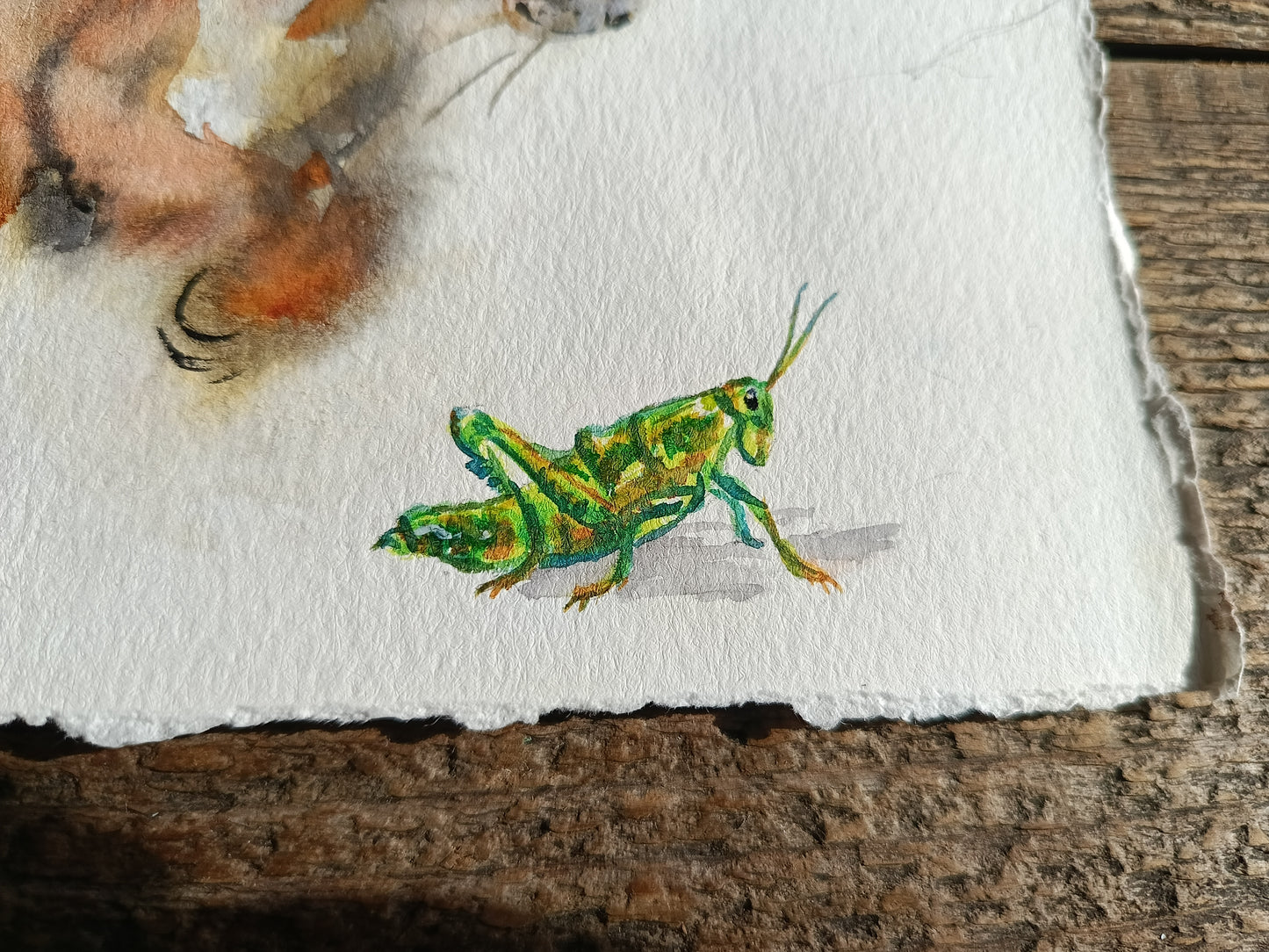 Hop hop! Fluffy cat and grasshopper. Original watercolour