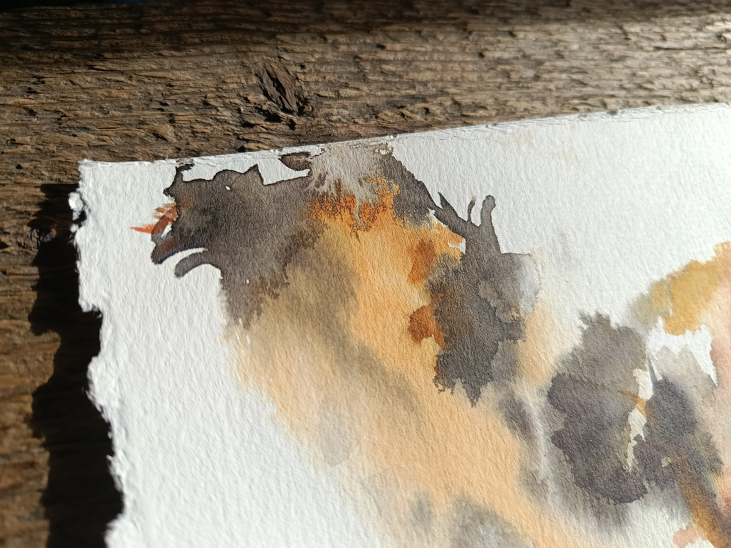 Hop hop! Fluffy cat and grasshopper. Original watercolour