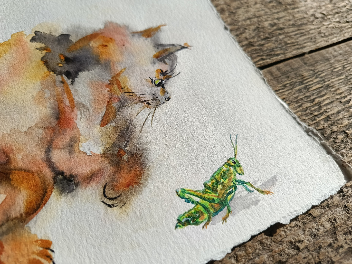 Hop hop! Fluffy cat and grasshopper. Original watercolour