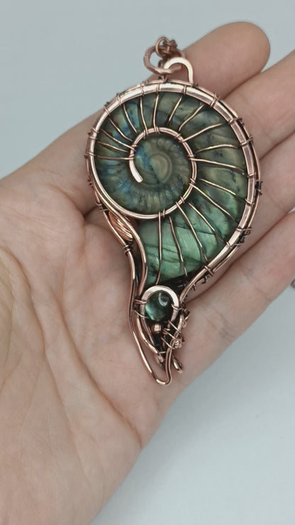 Mermaid shell necklace
