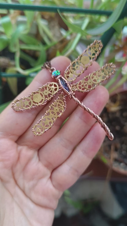 Summer guest. Dragonfly charm