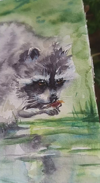 Raccoon gourmet. Original watercolour painting.