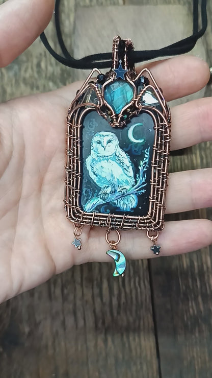 Moonlight ballade. Owl and Dragon necklace.
