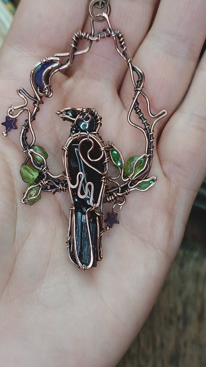 Stars catcher. Raven necklace