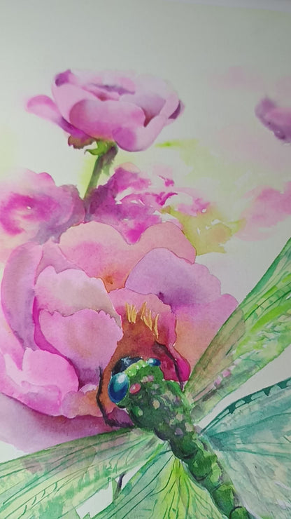 Festive dragonfly on pink peonies Original watercolor