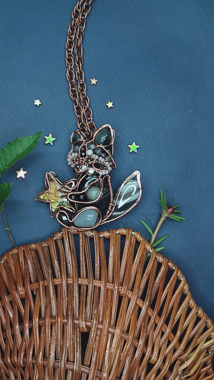 Raccoon and the star.