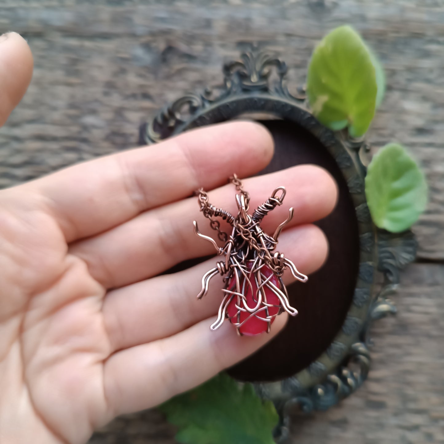 Mr.Cherry beetle