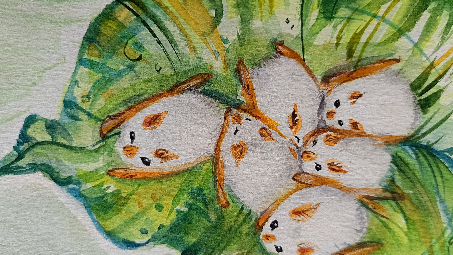 White leaf-nosed baby bats. Original watercolour on paper. Unframed