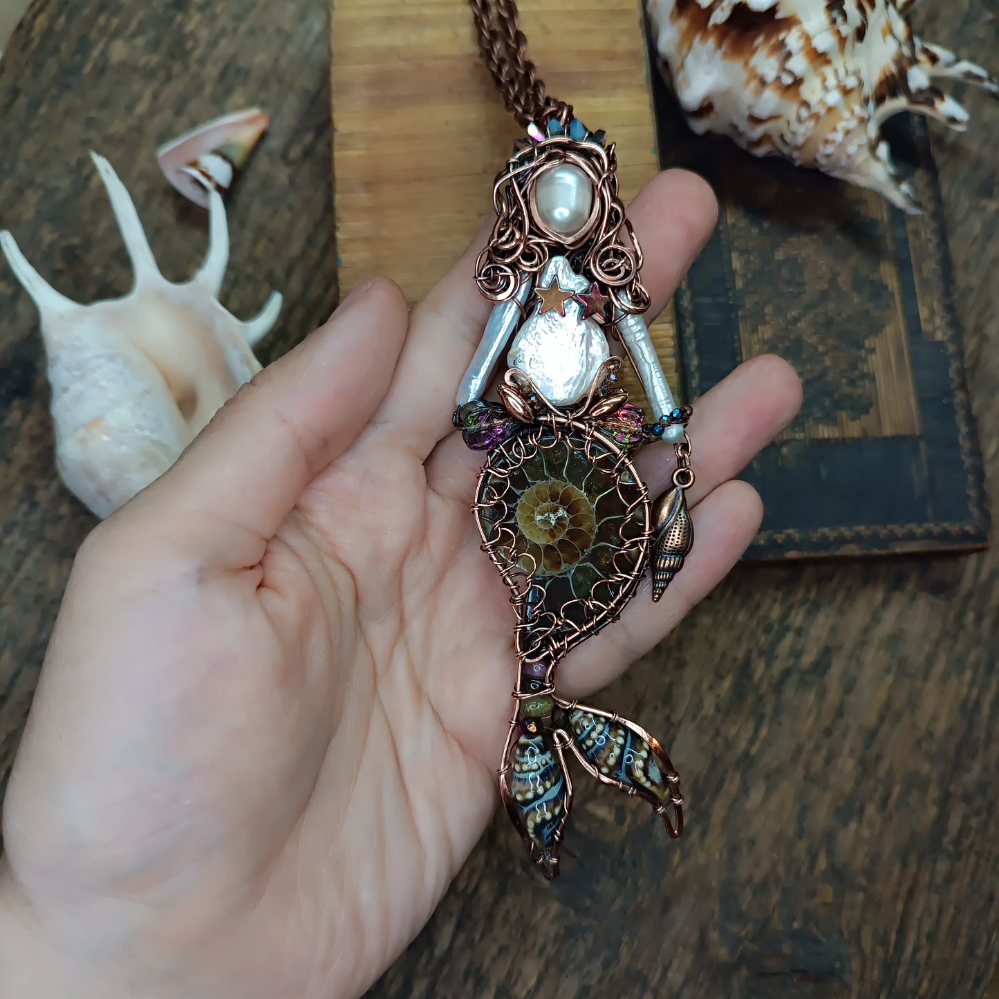 Ammonite shell mermaid.🧜🤎