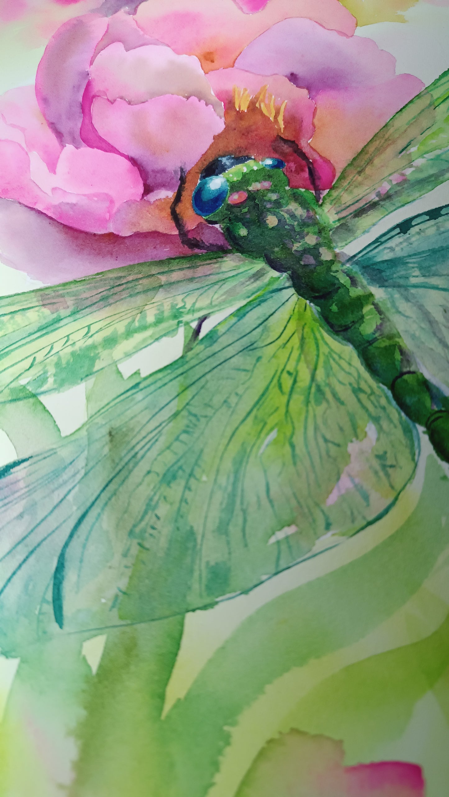 Festive dragonfly on pink peonies Original watercolor