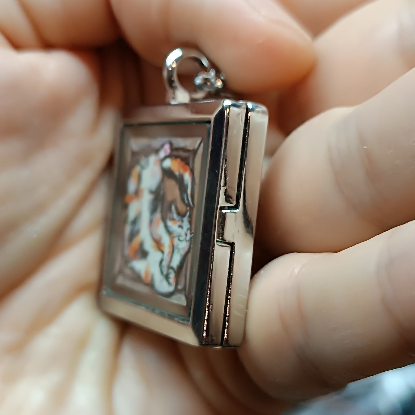 Cats in the box! Hand painted pendant. Reversible.
