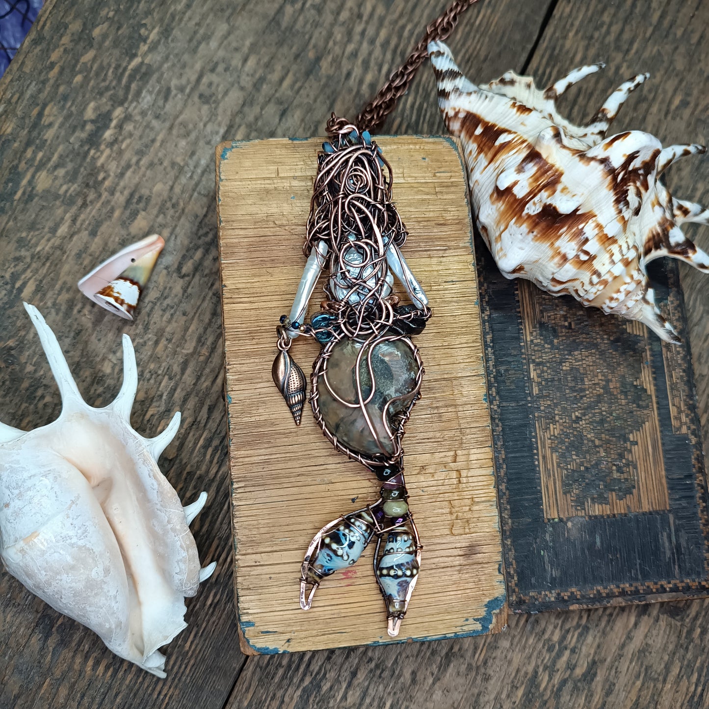 Ammonite shell mermaid.🧜🤎