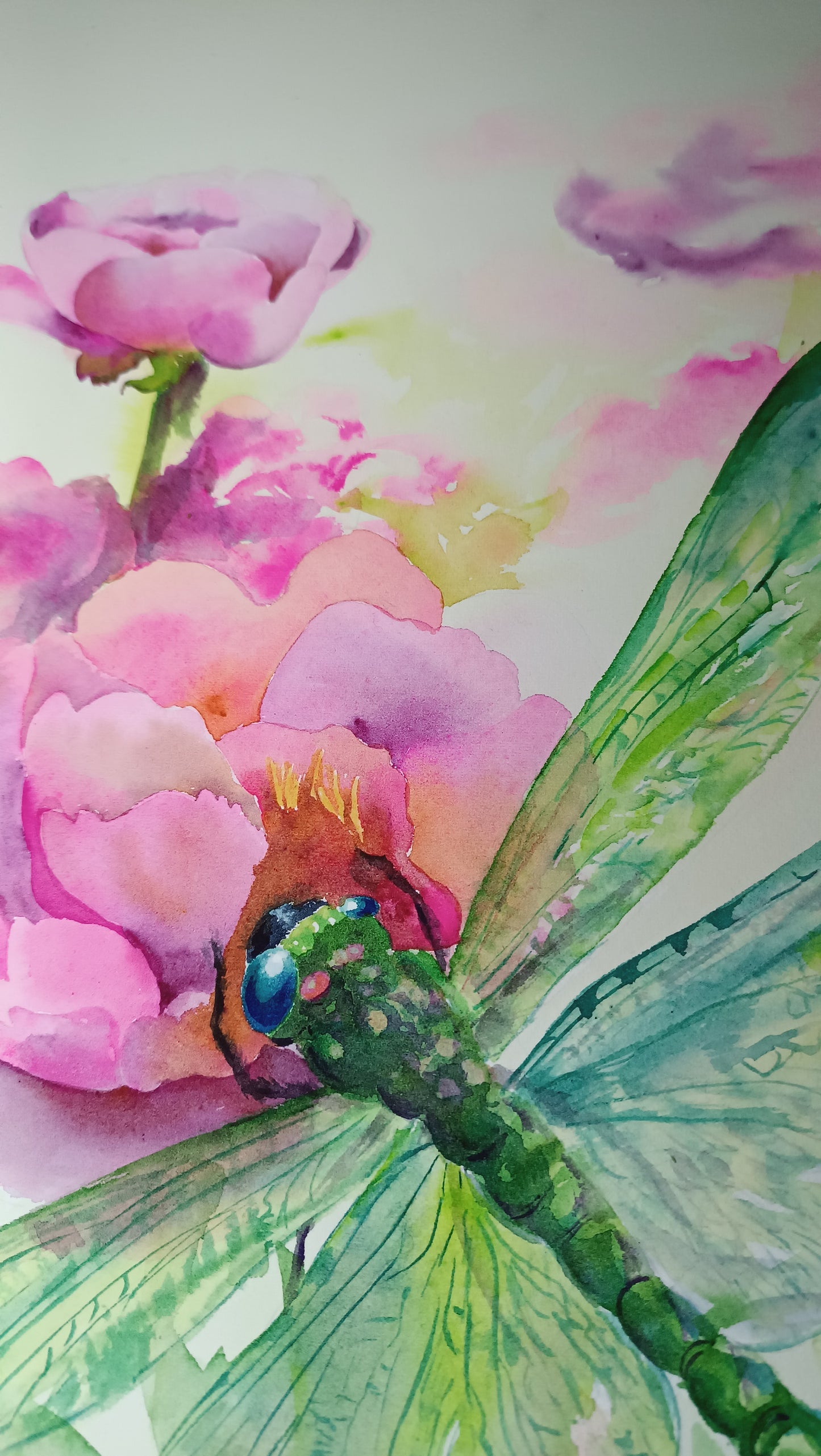 Festive dragonfly on pink peonies Original watercolor