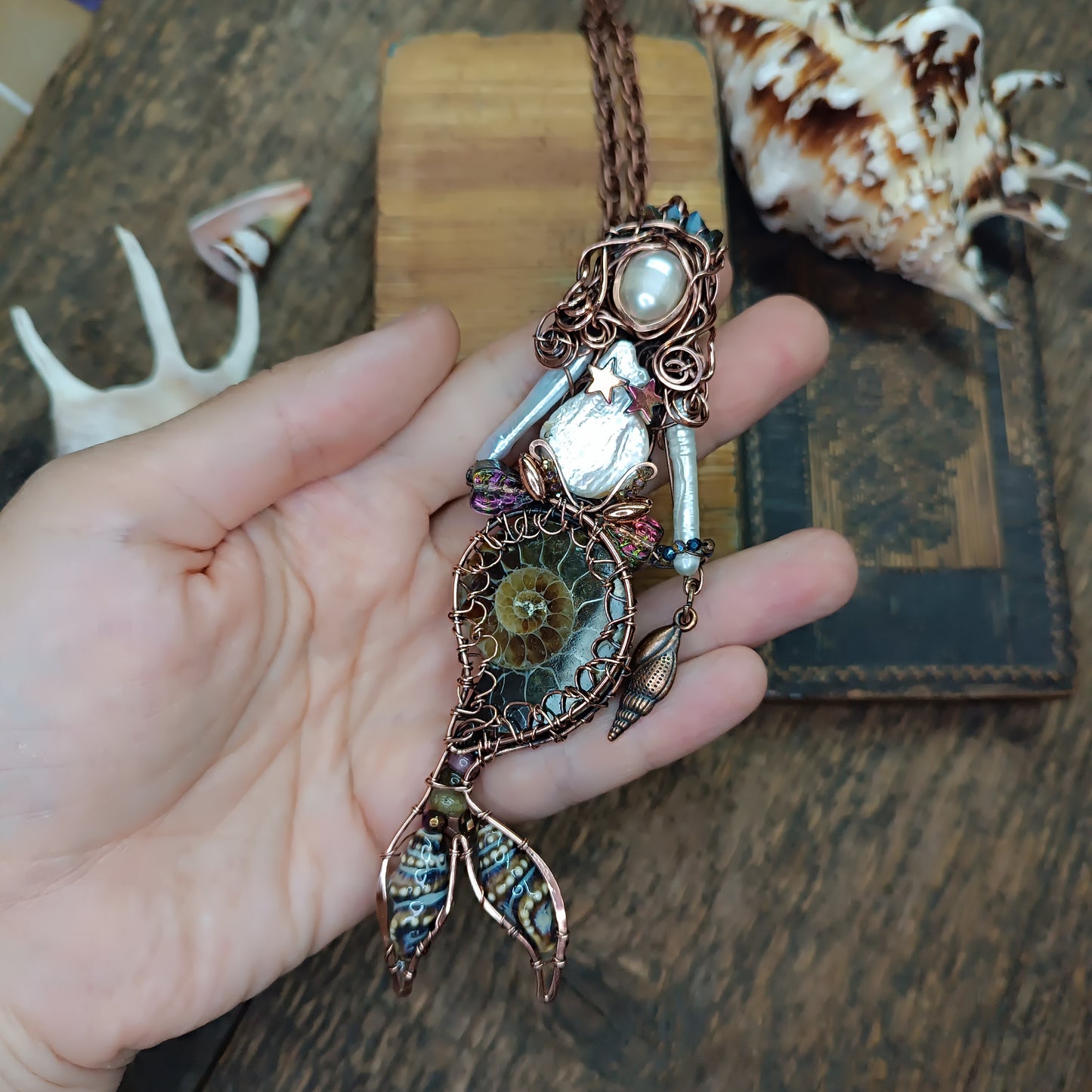 Ammonite shell mermaid.🧜🤎