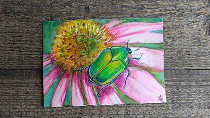 Set of watercolours