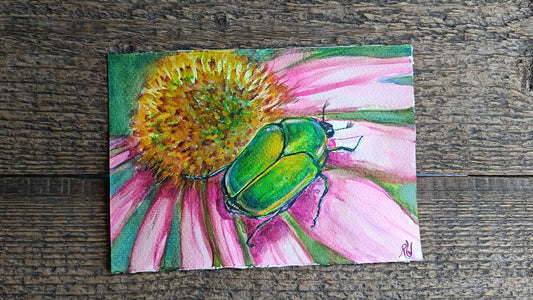 Set of watercolours