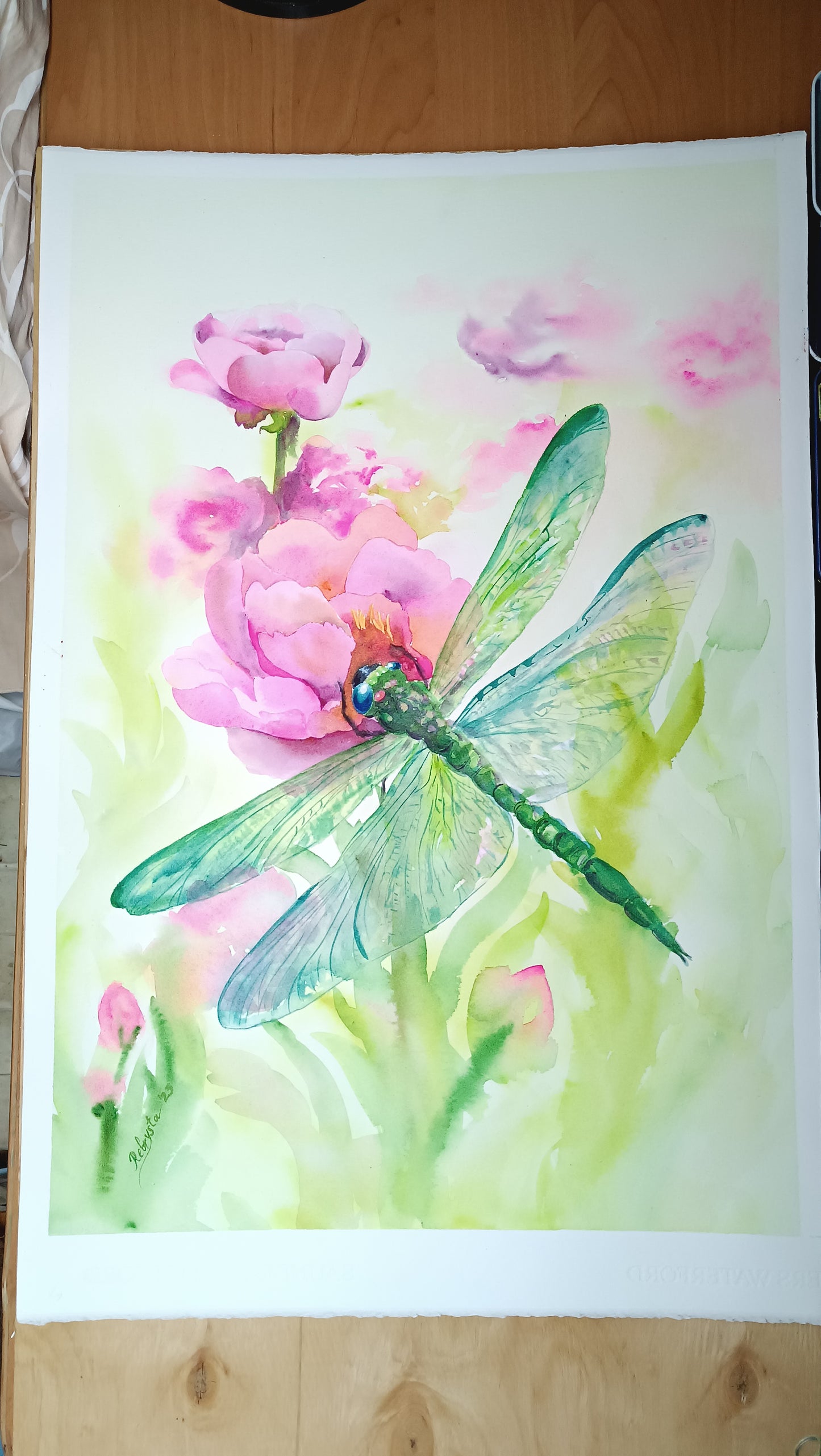 Festive dragonfly on pink peonies Original watercolor