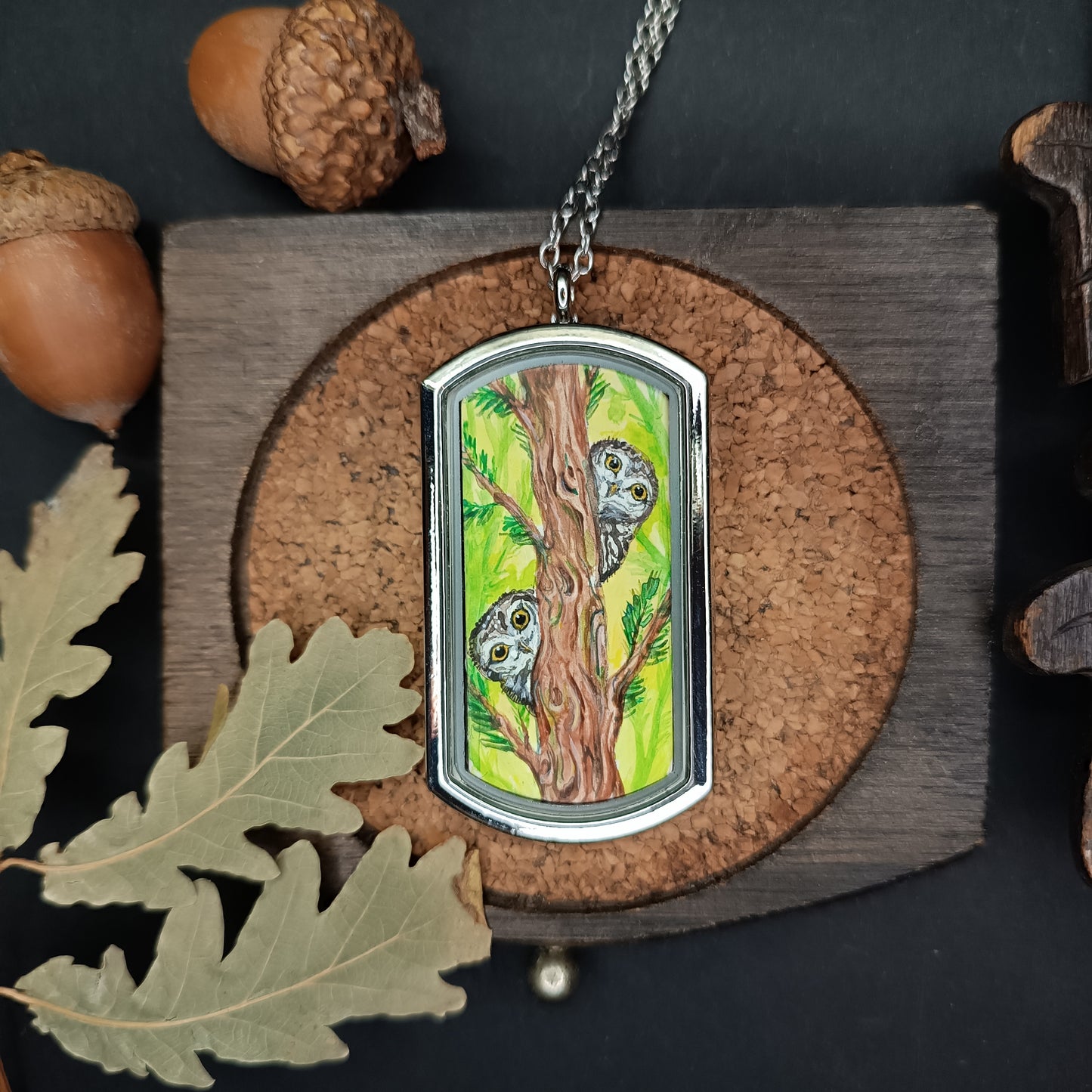Wizard's helpers🌿 Painted pendant🦉🐿️