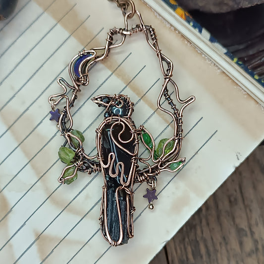 Stars catcher. Raven necklace