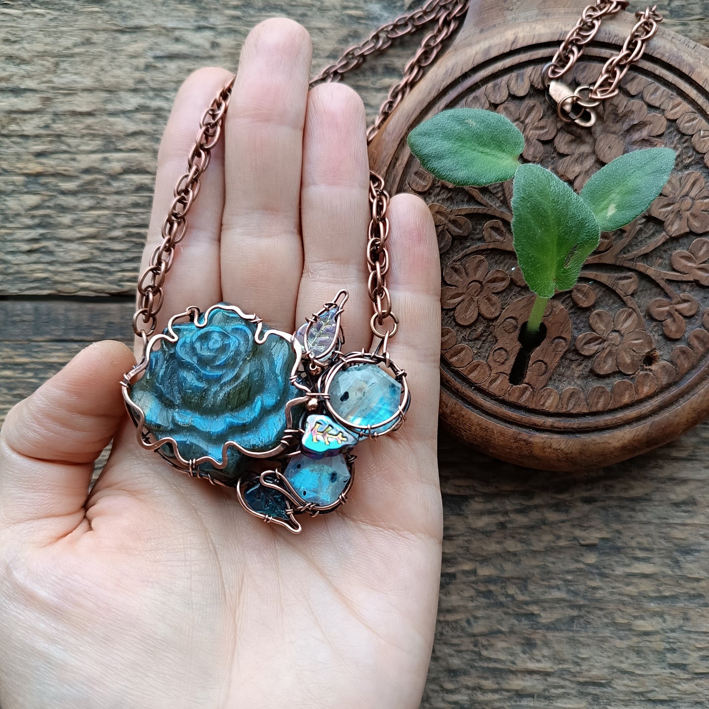 Blue rose in the moonlight.