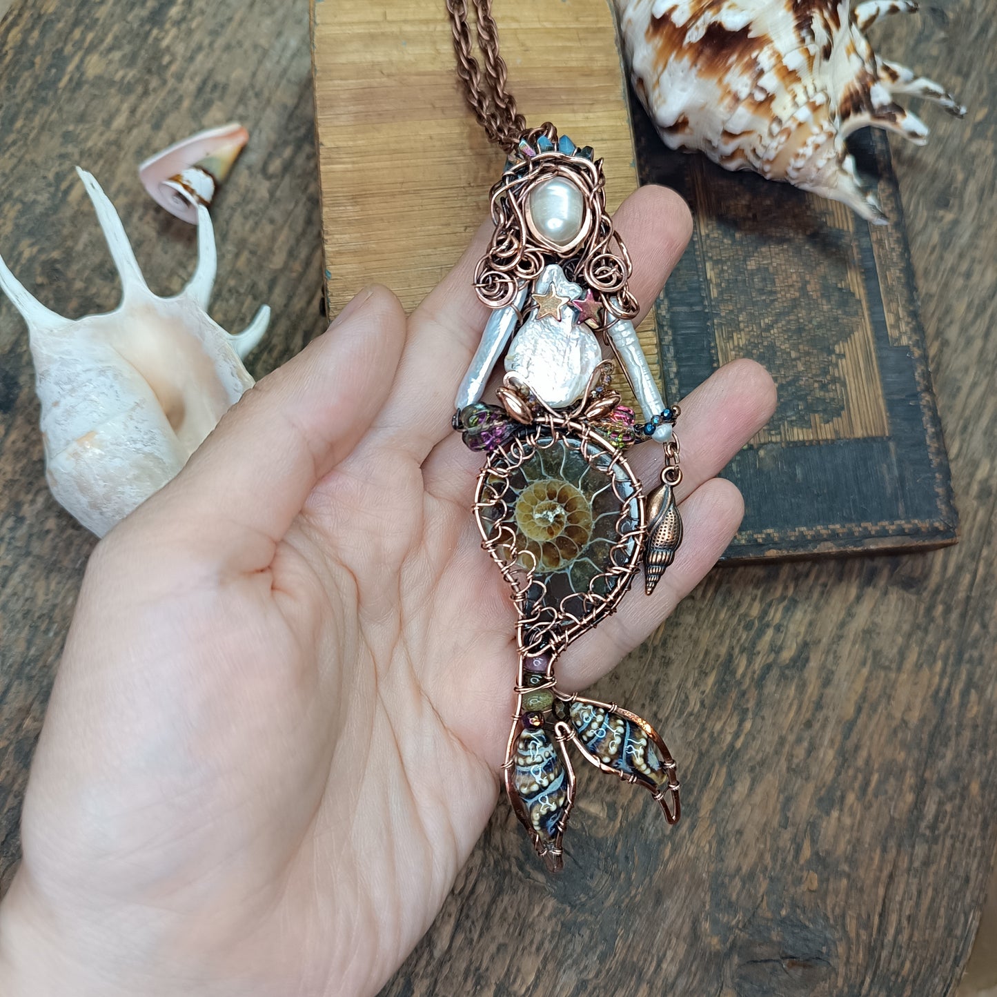 Ammonite shell mermaid.🧜🤎