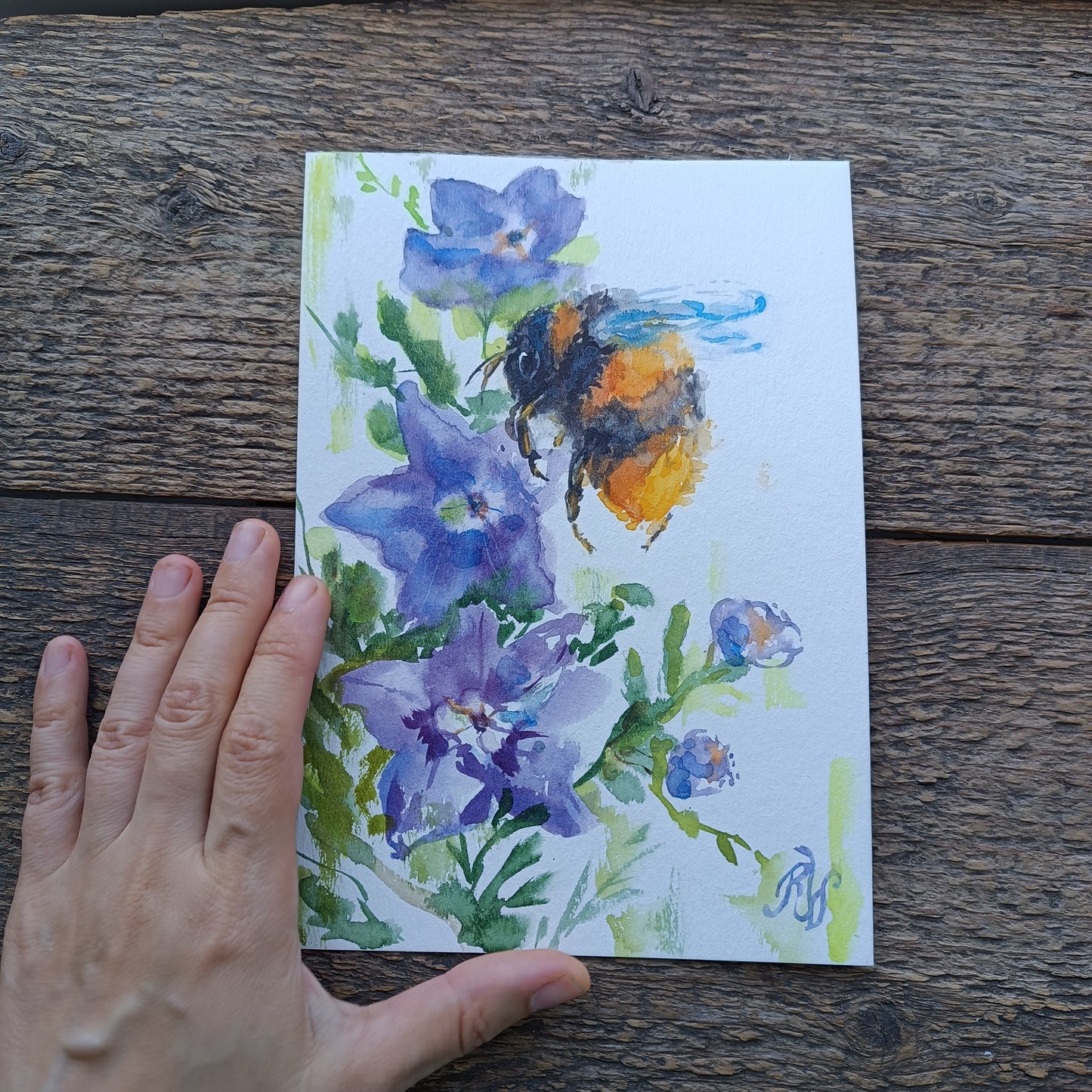 Buzy bee on bellflowers. Original watercolor on paper. Unframed.