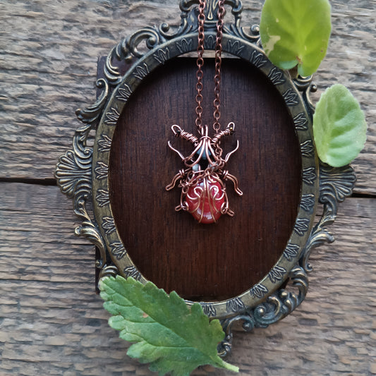 Mr.Cherry beetle