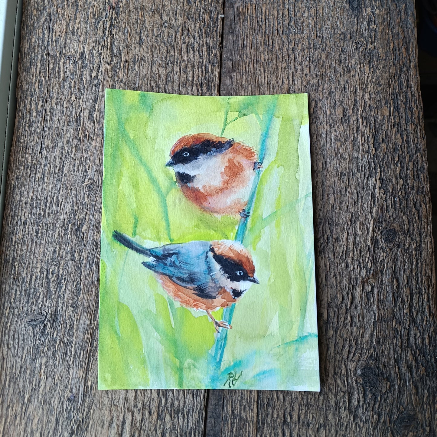 Set of watercolours