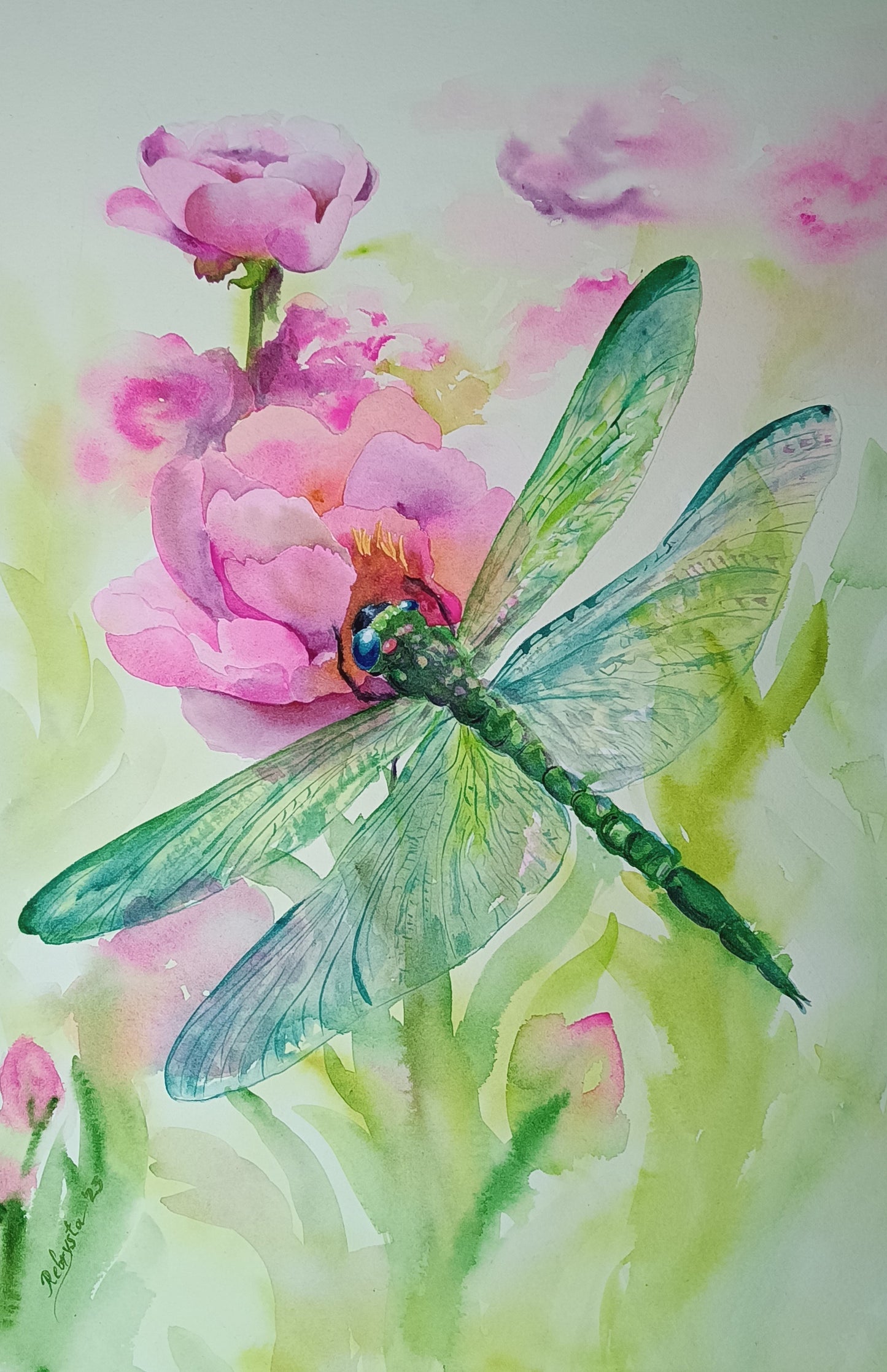 Festive dragonfly on pink peonies Original watercolor