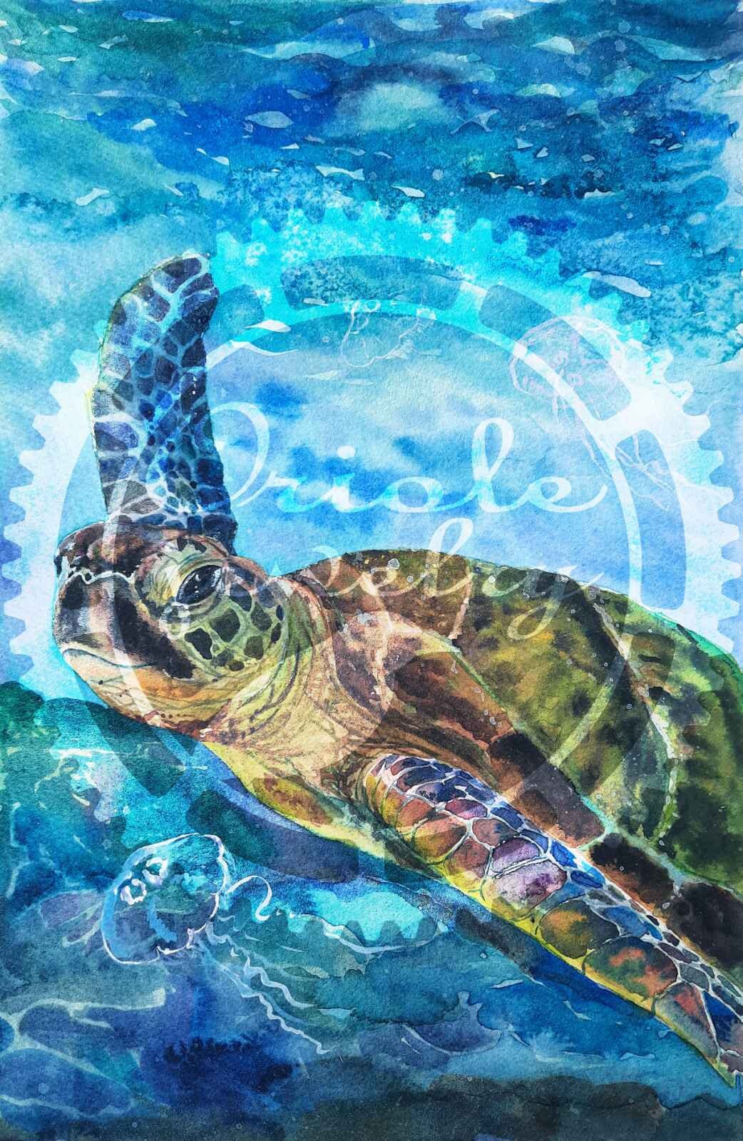 Sea turtle watercolor DIGITAL download