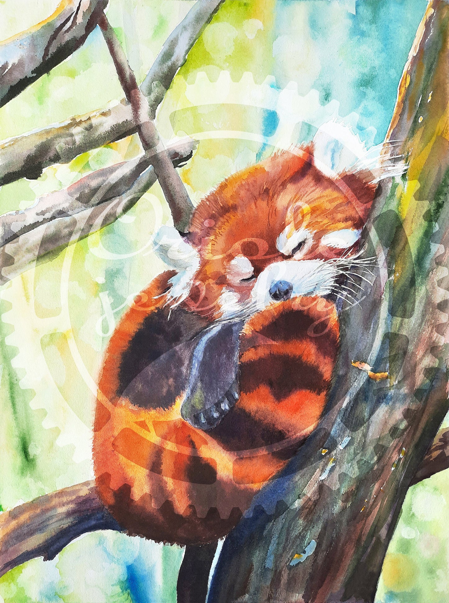 Red panda DIGITAL download