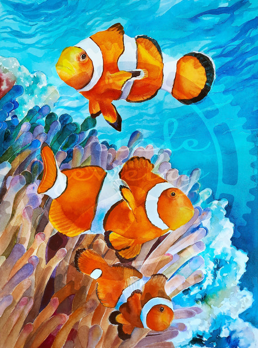 Clown fish DIGITAL download