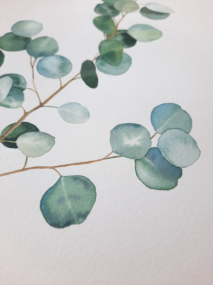 Eucalyptus branch Original watercolor on paper